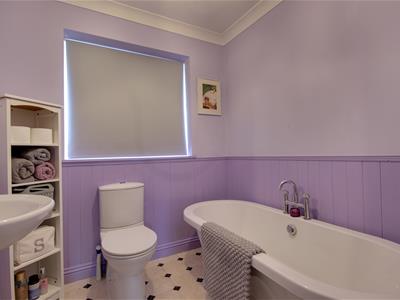 Picture 15
